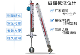 防腐翻柱液位計